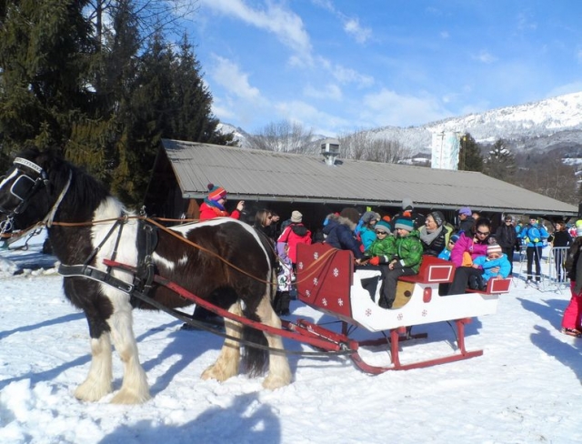 Traineau a cheval